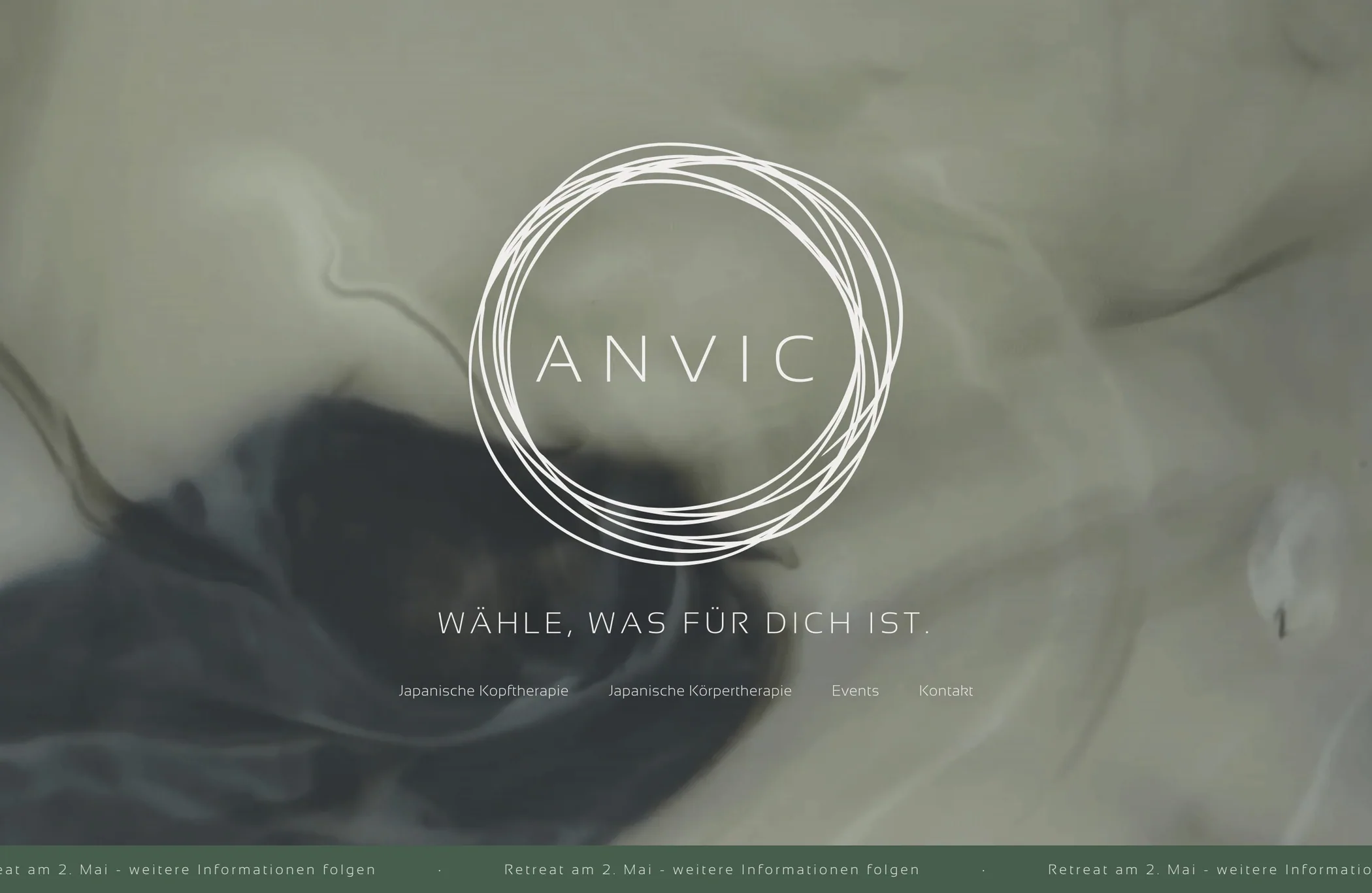 Website von ANVIC