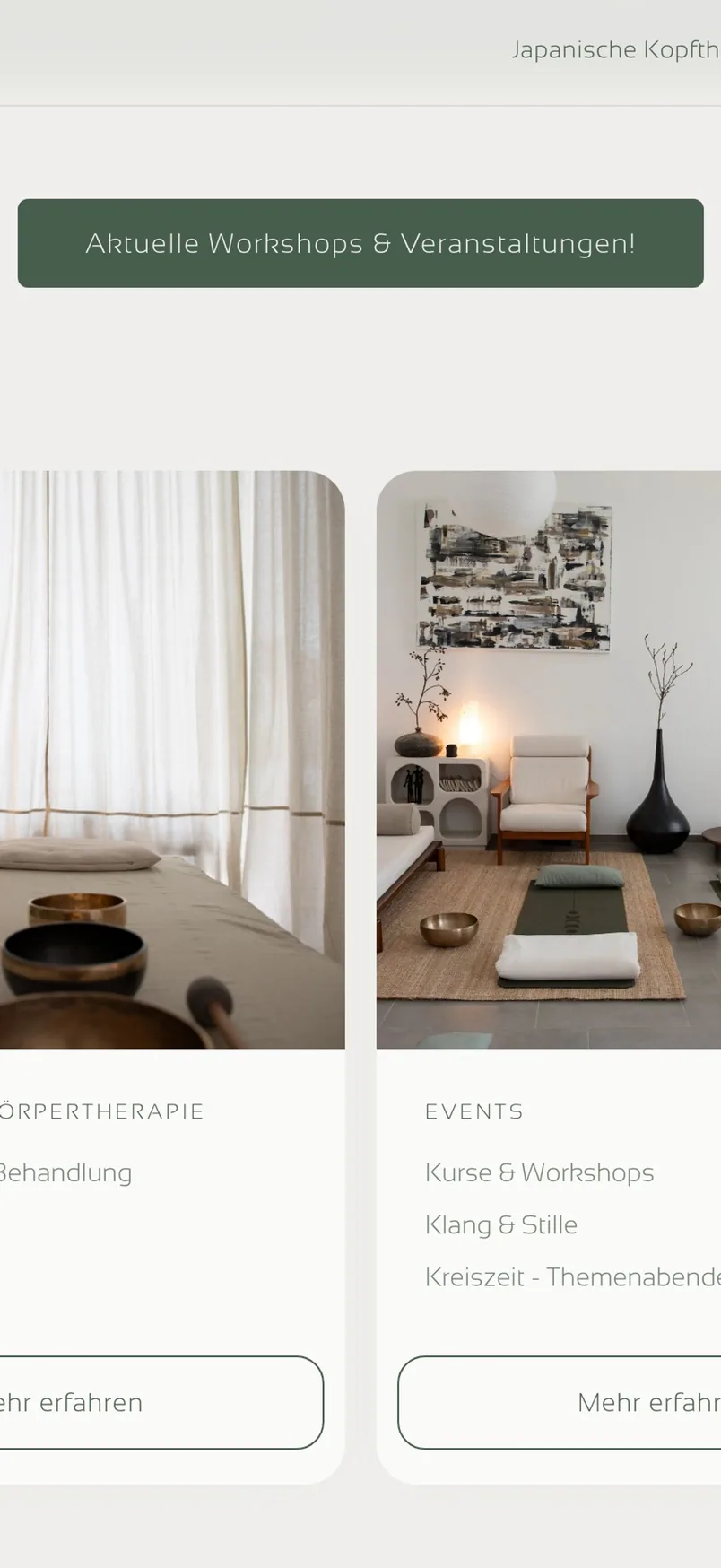 Website von ANVIC auf dem Handy
