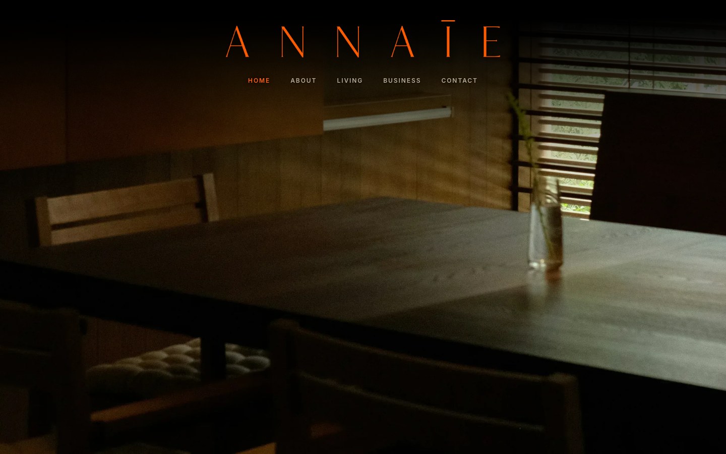 Screenshot Annaie Studio